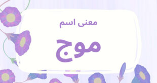 معنى اسم موج