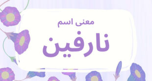 معنى اسم نارفين