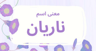 معنى اسم ناريان