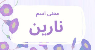 معنى اسم نارين