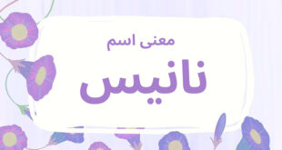 معنى اسم نانيس