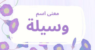 معنى اسم وسيلة