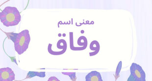 معنى اسم وفاق