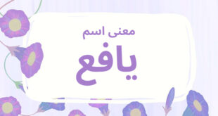 معنى اسم يافع