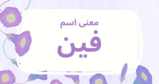 معنى اسم فين