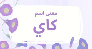 معنى اسم كاي