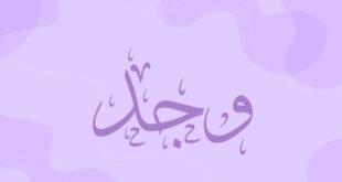 صفات اسم وجد