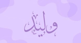 دلع اسم وليد